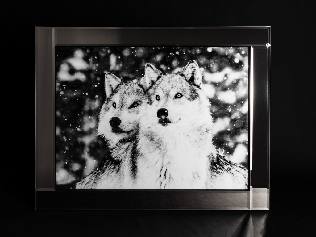 [500419] Glass print med speil ramme, "ulver", 95 x 75 x 2 cm