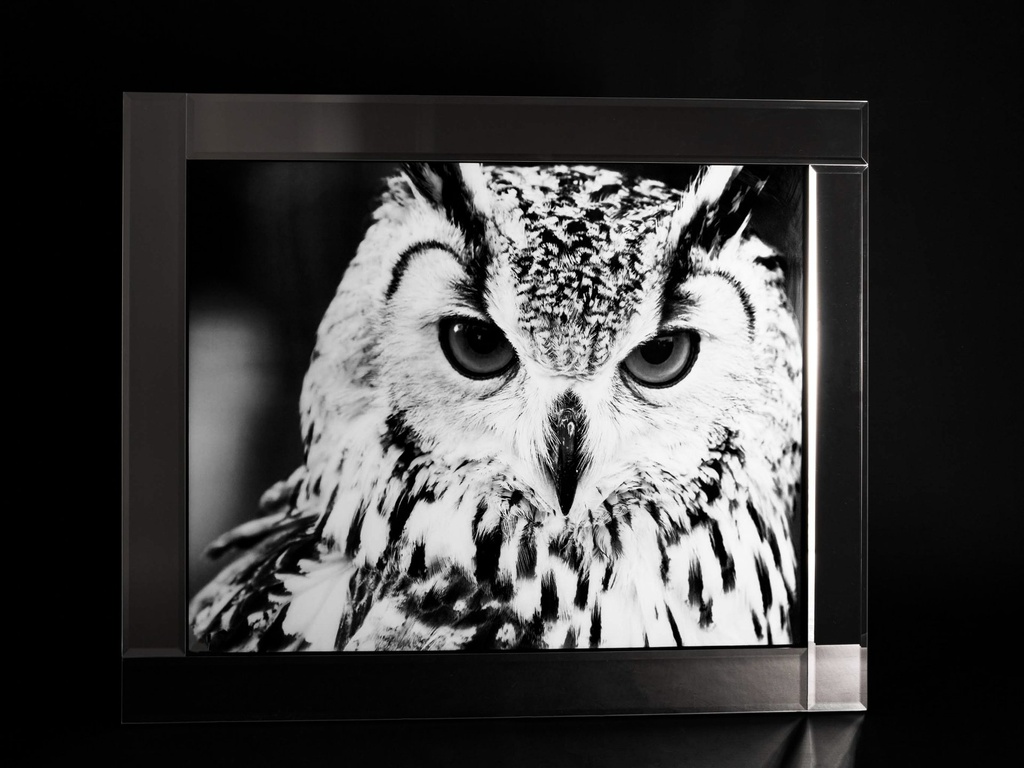 [500422] Glass print med speil ramme, "ugle", 95 x 75 x 2 cm