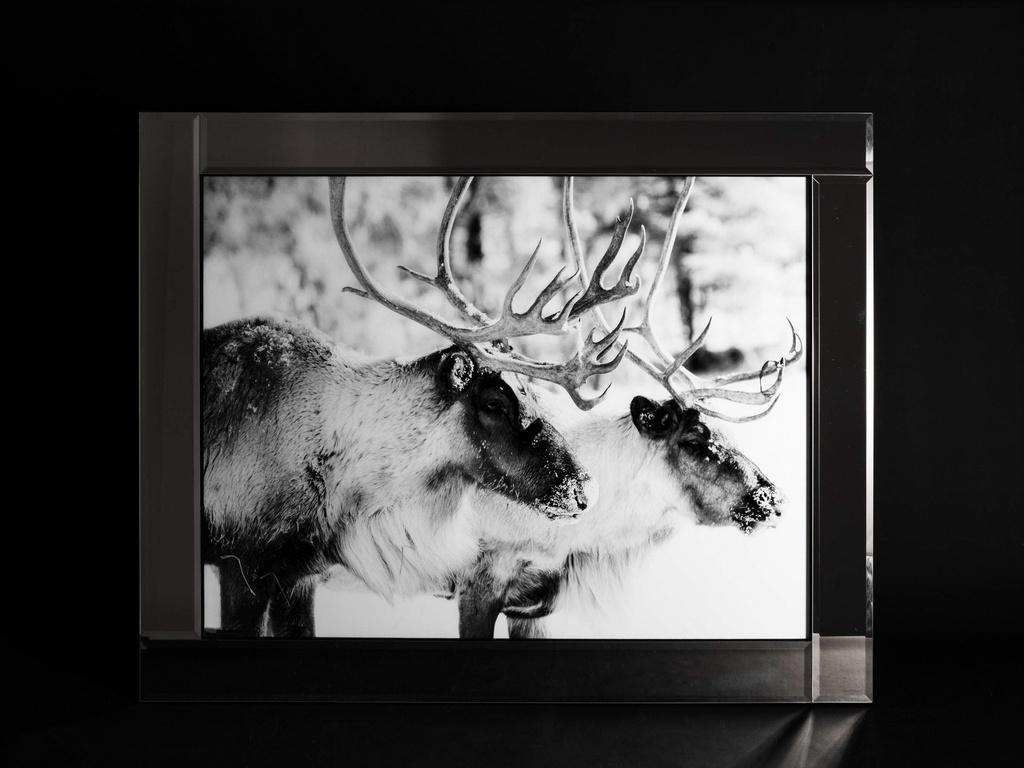 Glass print med speil ramme, "reinsdyr", 95 x 75 x 2 cm