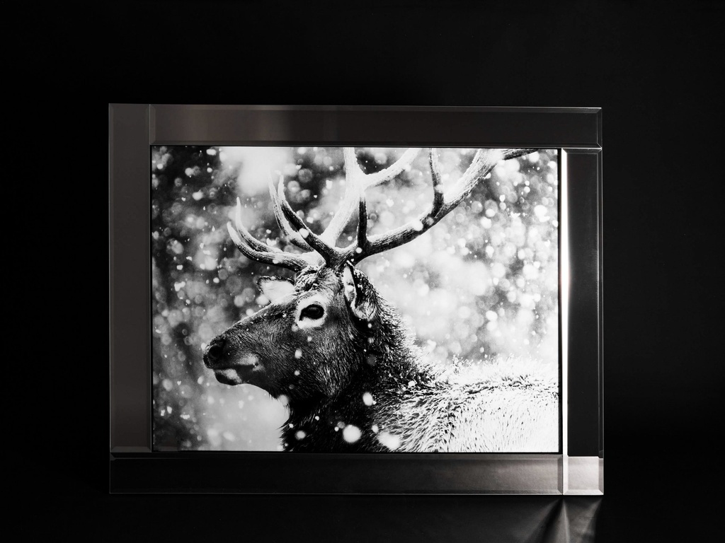 [500426] Glass print med speil ramme, "hjort", 95 x 75 x 2 cm