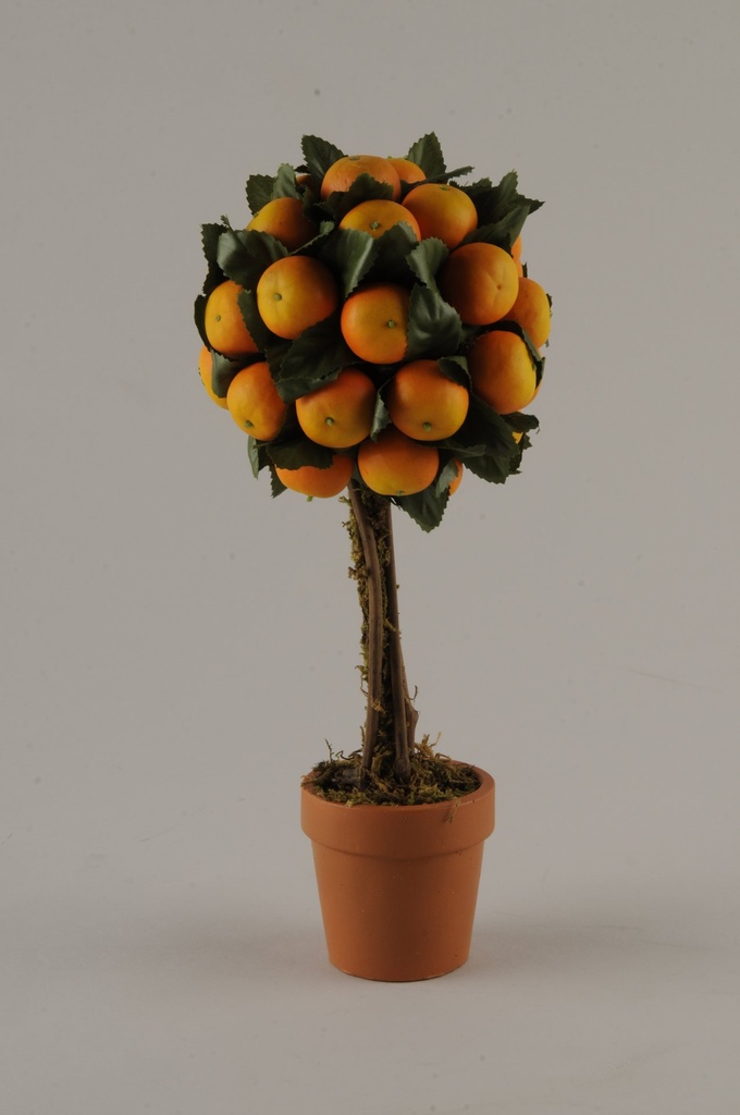 [868031] Appelsintre i potte