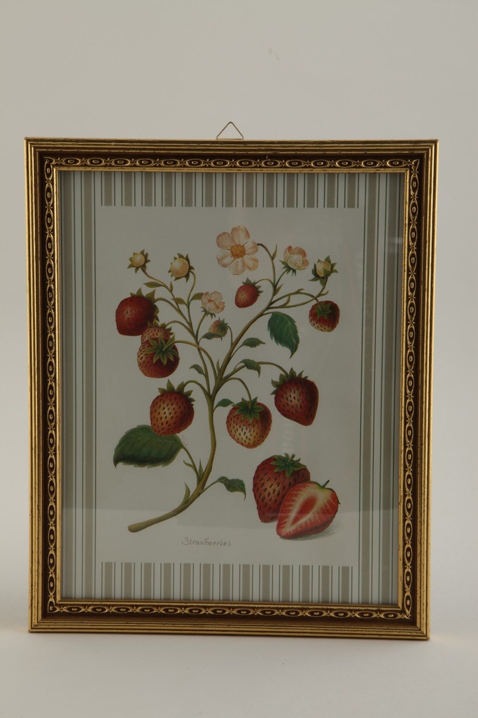 Bilde 20x25cm, frukt,gullramme
