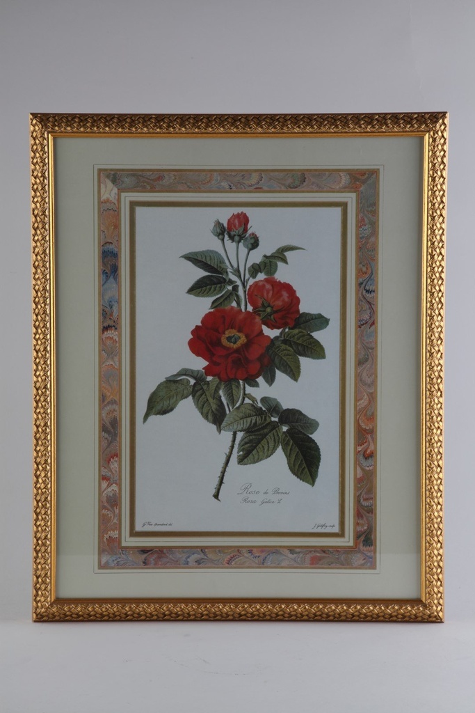 Bilde 40x50cm,blomst,gullramme