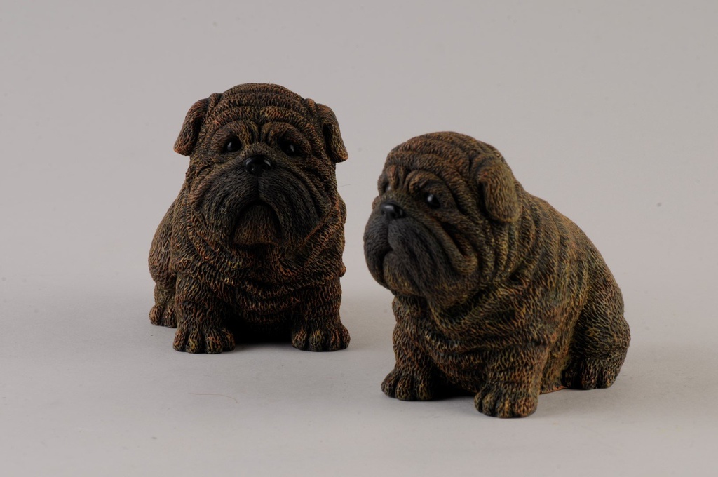 Hund, mor/far/unge s/3