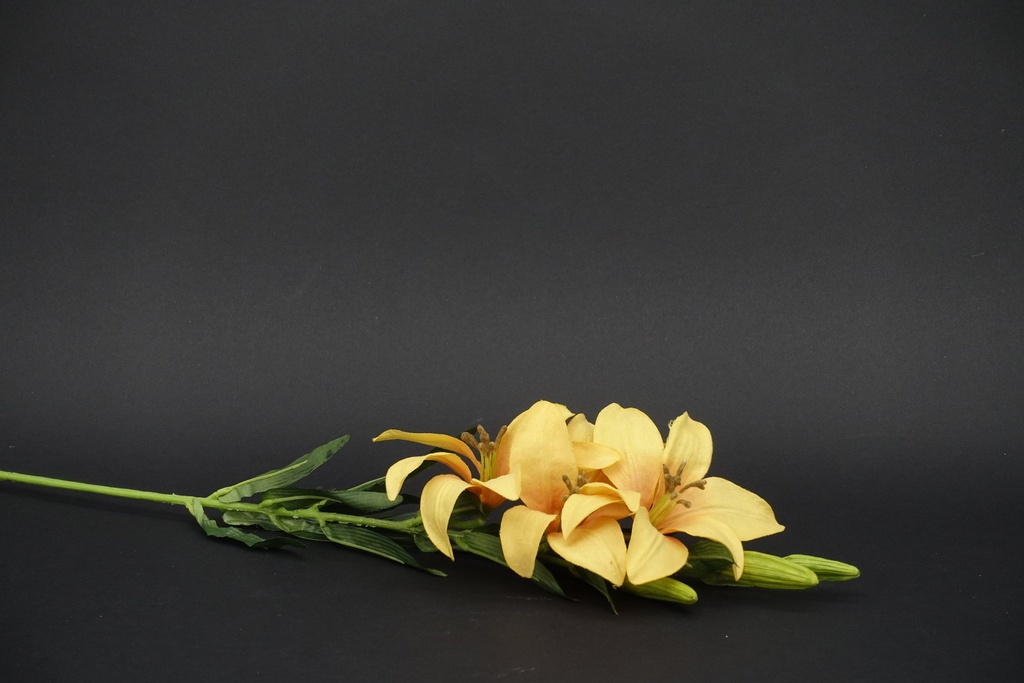 [916034] Lilje m/3 blomster  gul       