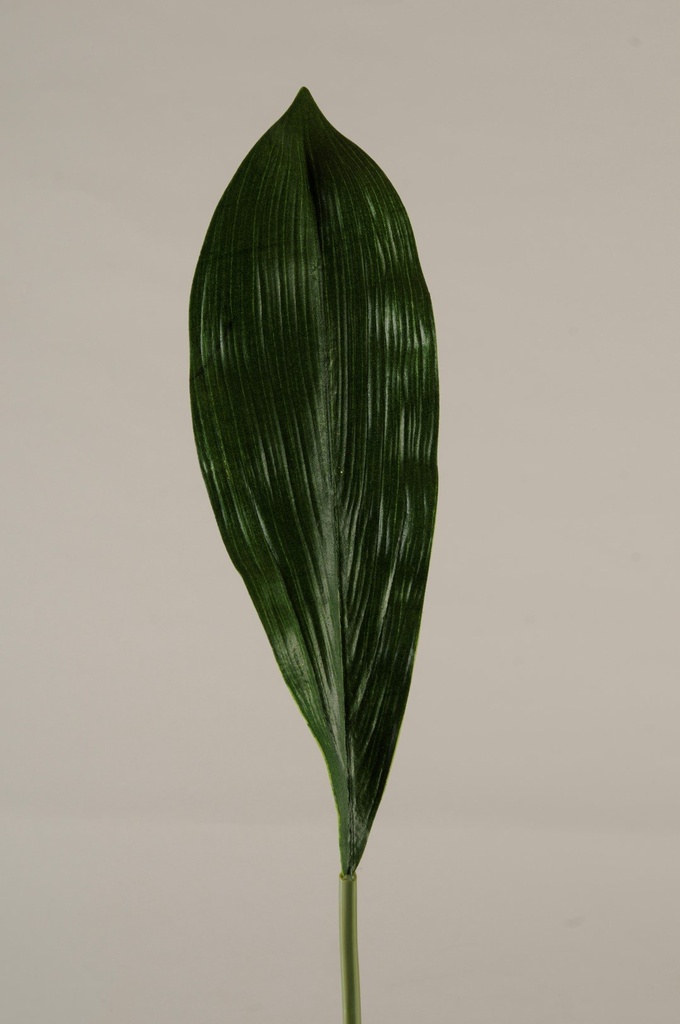 [916044] Palmeblad L-83 cm  blad  grønn