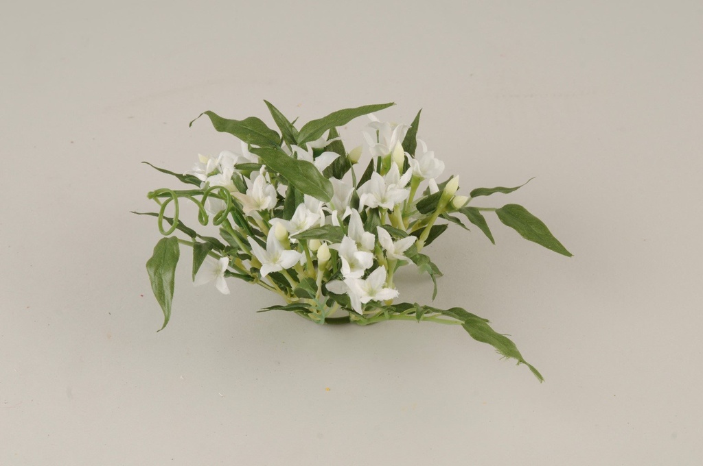 Lyskrans   jasmin  hvit       