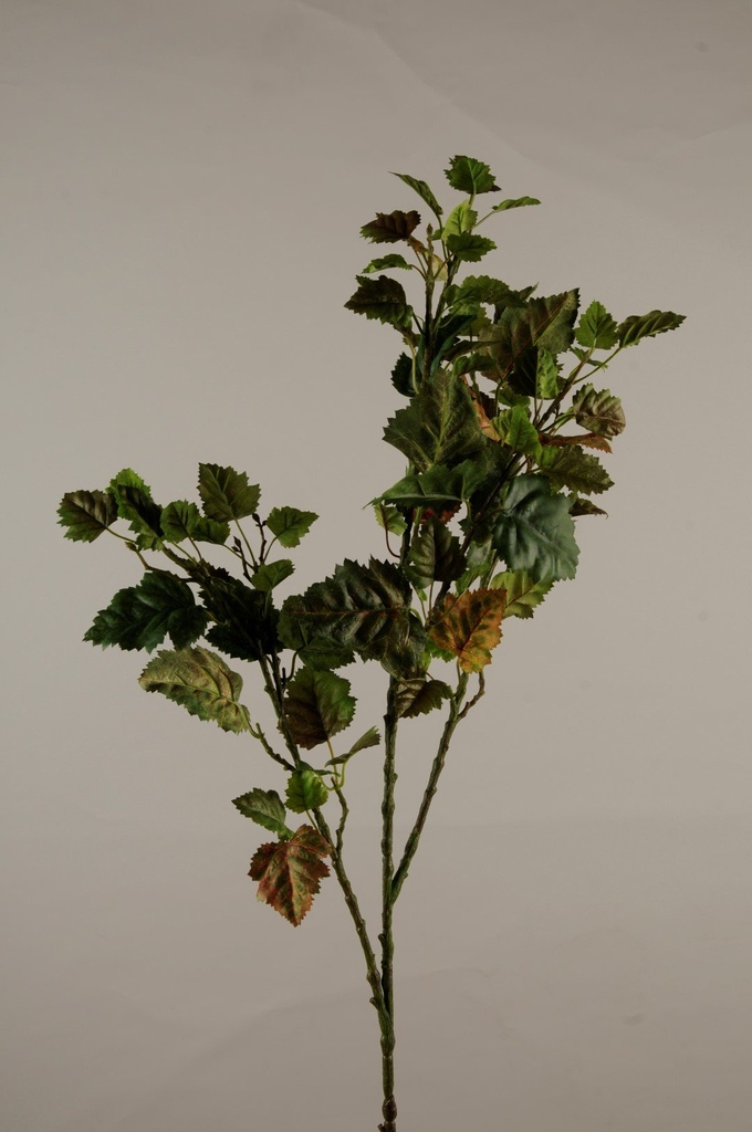 Bjørkegren  H-97 cm           