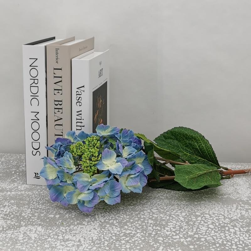 Hortensia  syre  H-74 cm      