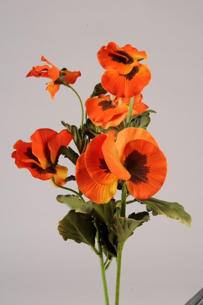 Stemorsblomst  orange  H-36 cm