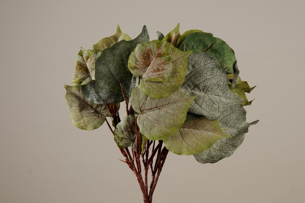 Plante,grønn/frost m/27 blader