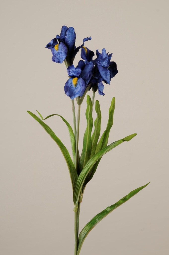 [917514] Iris M/3 blomst H-73          