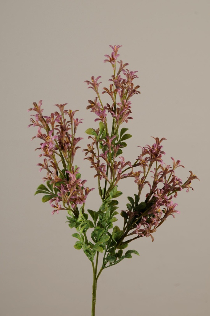 [917610] Klokkeblomst 66cm lilla       
