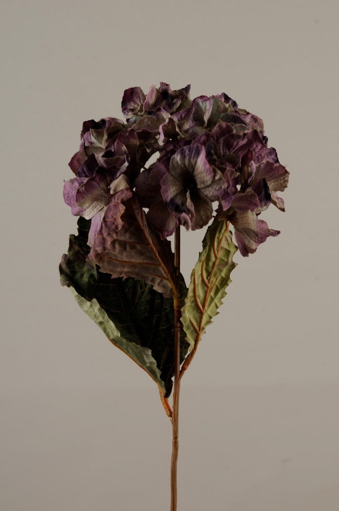 Hortensia  lilla  62 cm       