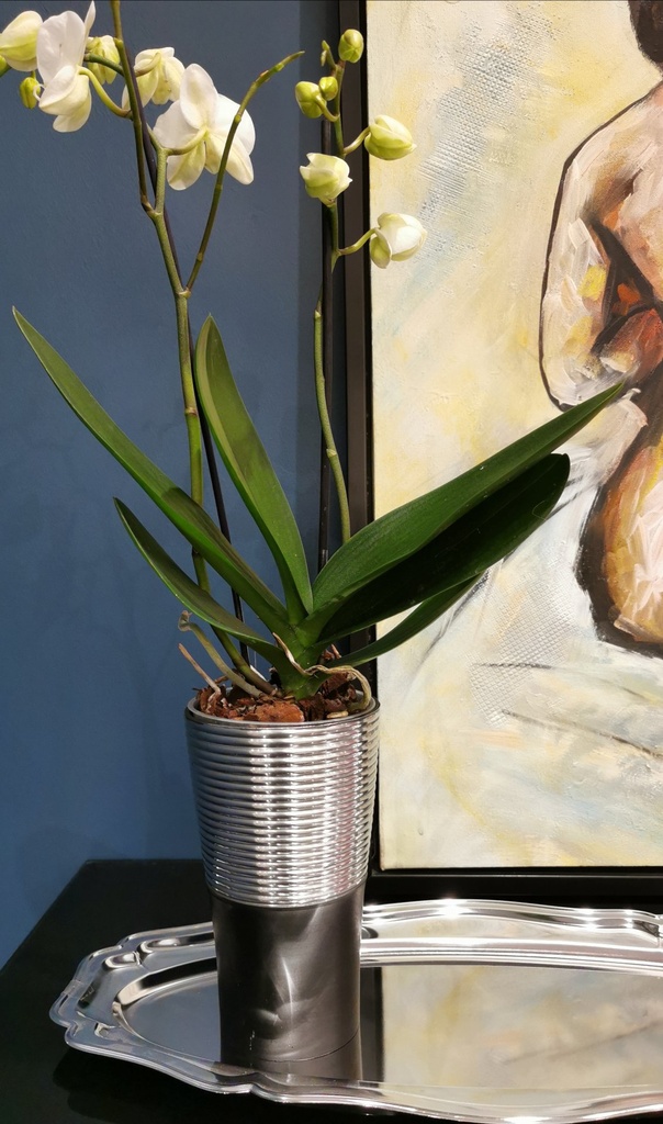 [31064B] Vase  alum.H-18 0 Ø-11 blank  